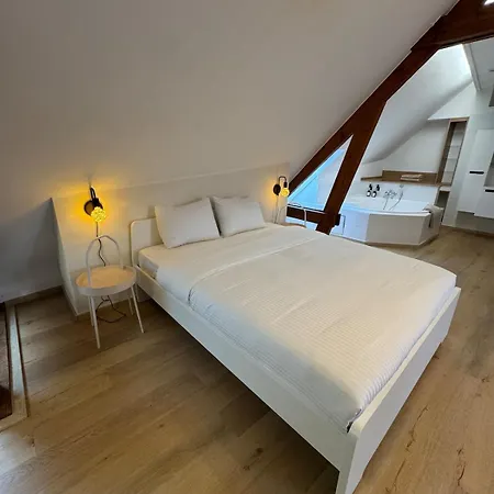 Апартаменты Loft Монс