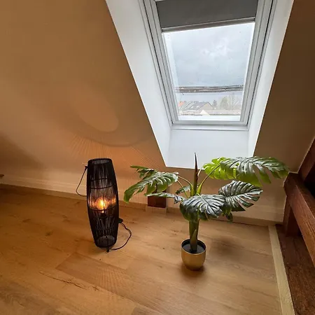 Loft * Монс