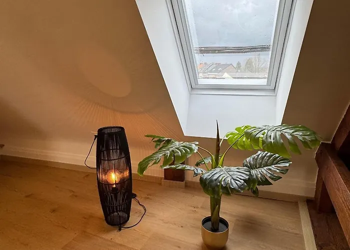 Loft * Монс